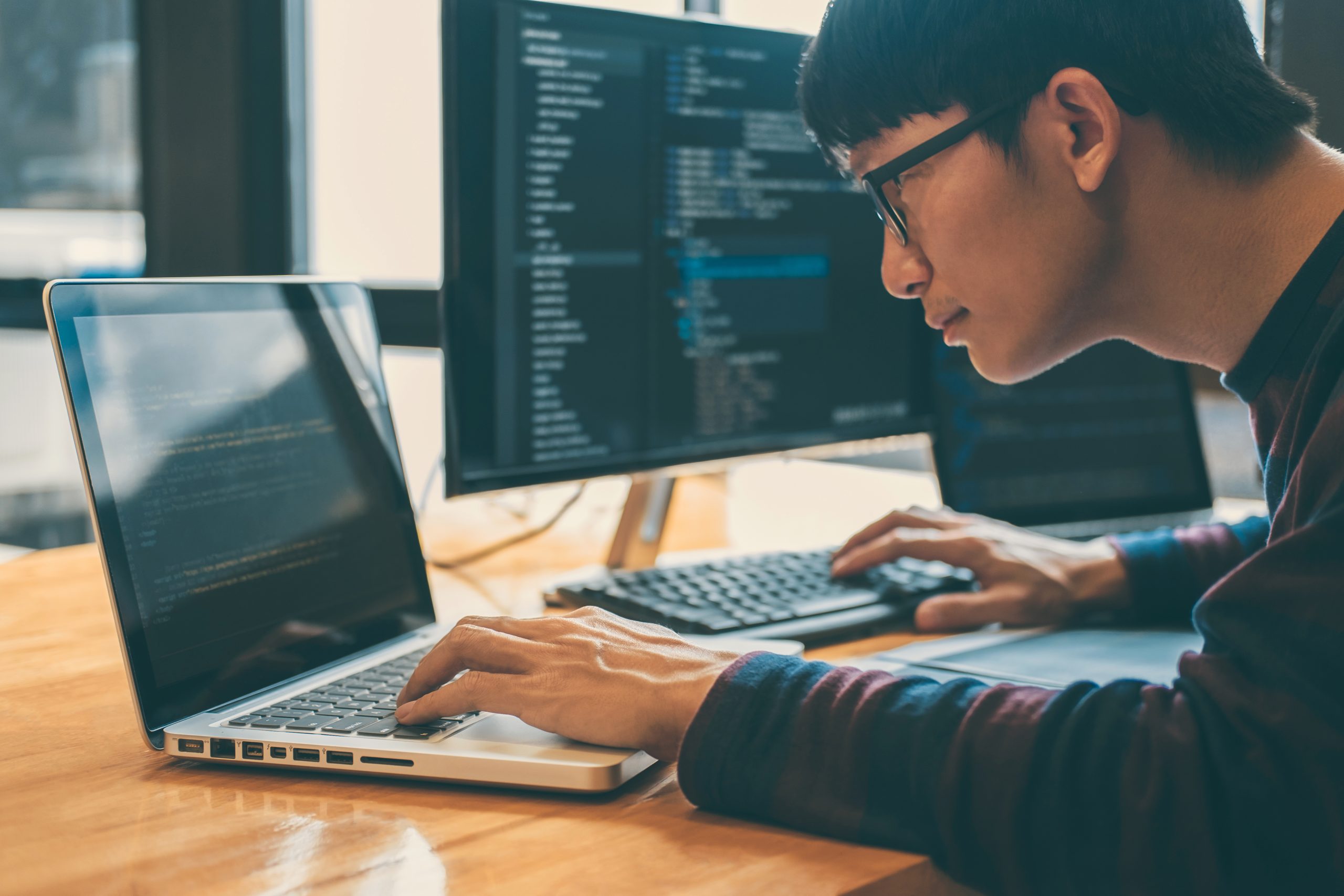 Professional Development programmer working in programming websi